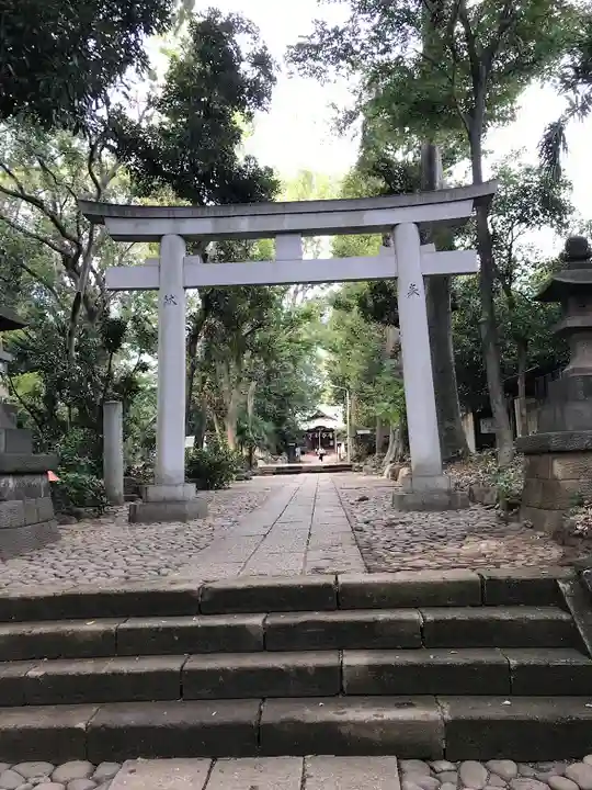 代々木八幡宮の鳥居