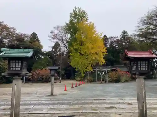 八坂神社の鳥居