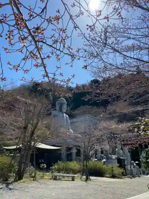 南法華寺（壷阪寺）の仏像