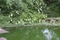 誕生水弁財天(京都府)