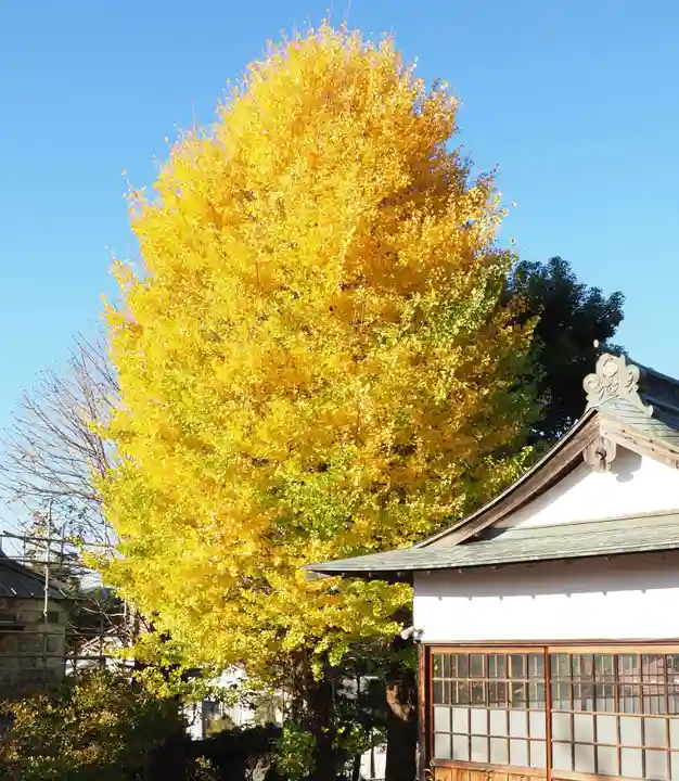 今市報徳二宮神社の自然