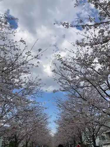 鶴岡八幡宮の景色