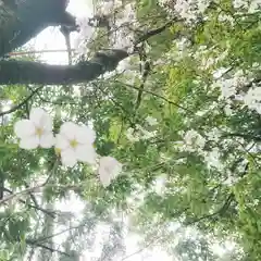 宗形神社の自然