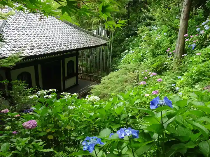 長谷寺(神奈川県)