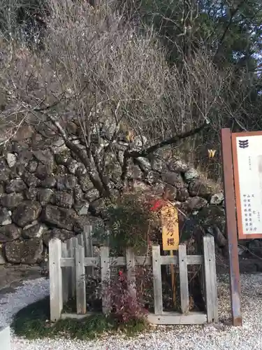 武田神社の庭園