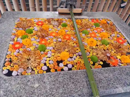 高円寺氷川神社(東京都)