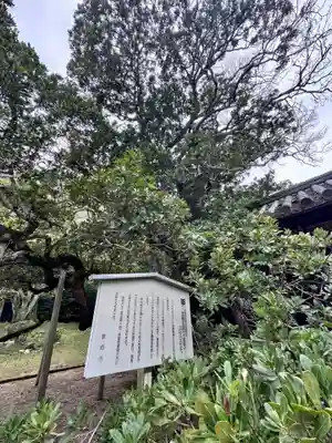 金剛王院(京都府)