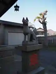 篠原稲荷神社の狛犬