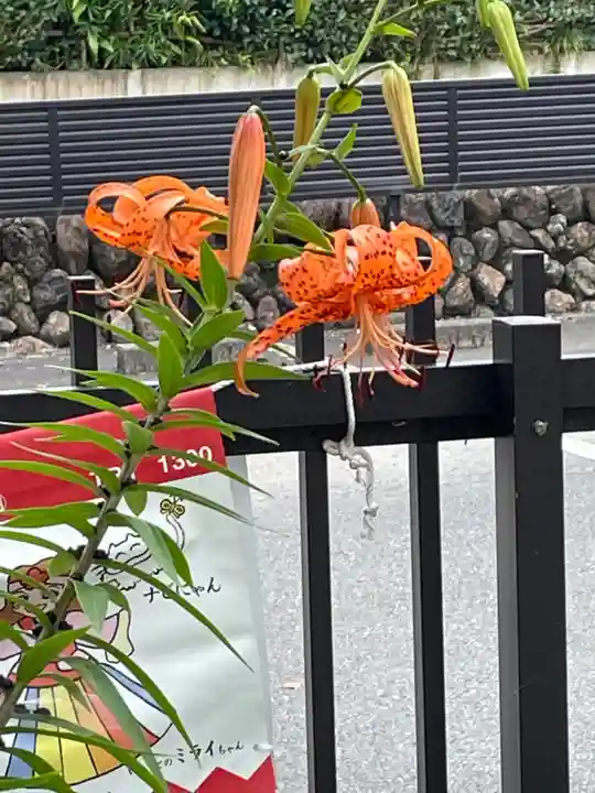 高麗神社の自然