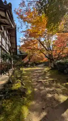 西明寺(京都府)