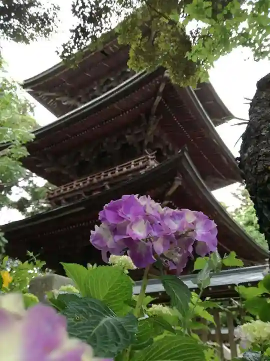 椎尾山薬王院の塔