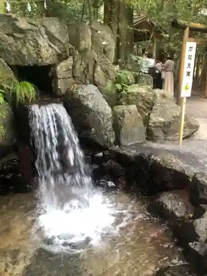 椿大神社の自然