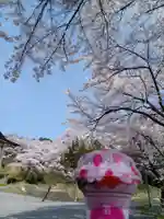 白狐山光星寺(山形県)