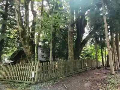 諏訪大社上社前宮の本殿・本堂