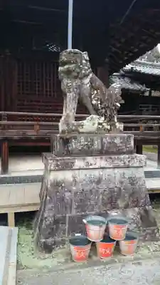 向日神社の狛犬
