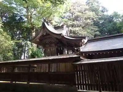 倭文神社の本殿・本堂