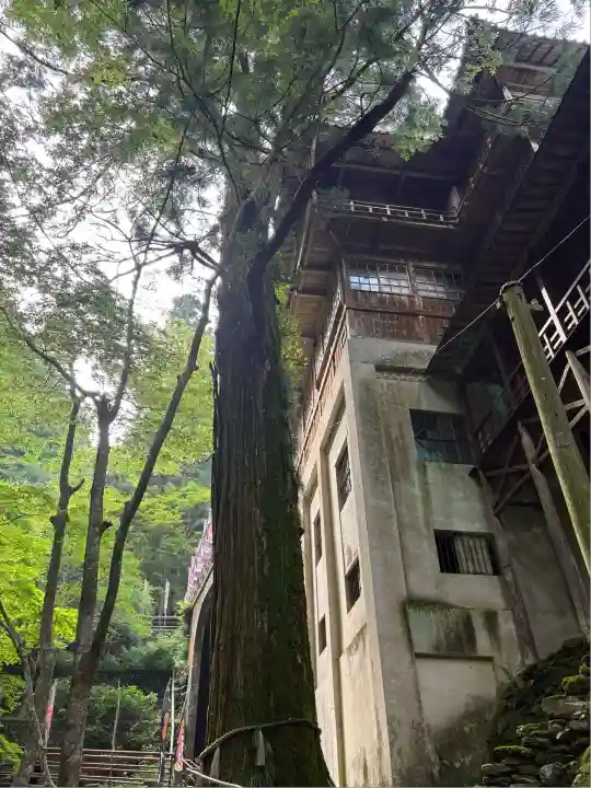 仙龍寺(愛媛県)