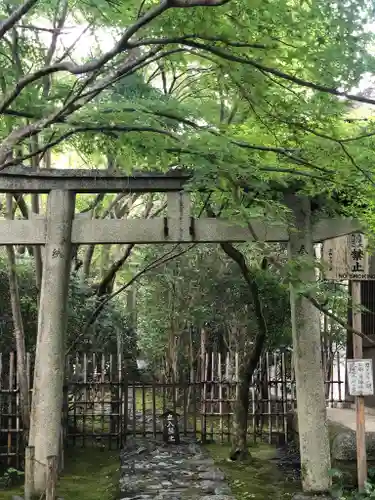 蓮華寺（洛北蓮華寺）の鳥居