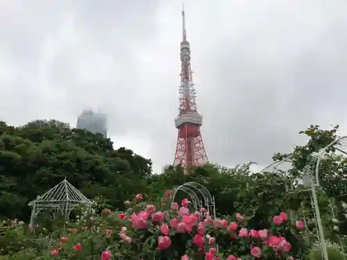 増上寺塔頭 三縁山 宝珠院の景色