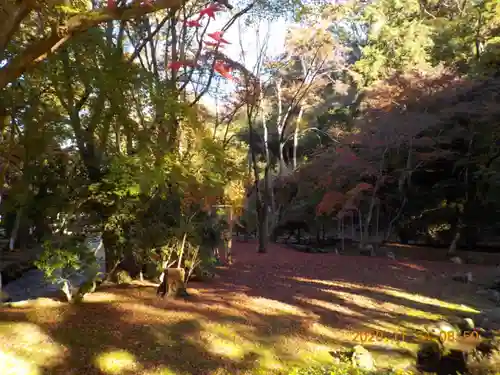 賀茂別雷神社（上賀茂神社）の周辺