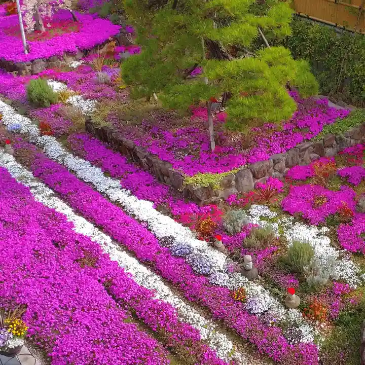 寿量山 速成寺の自然