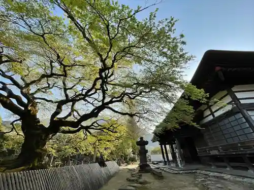 西善寺のその他建物