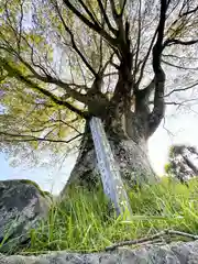 三獄神社(京都府)