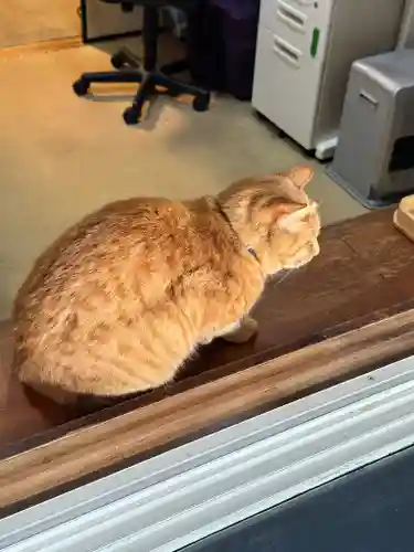 鵠沼伏見稲荷神社(神奈川県)