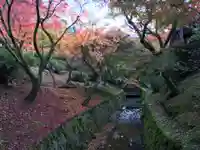 東福禅寺(東福寺)の周辺
