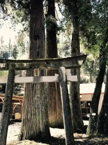 小崎神社の鳥居