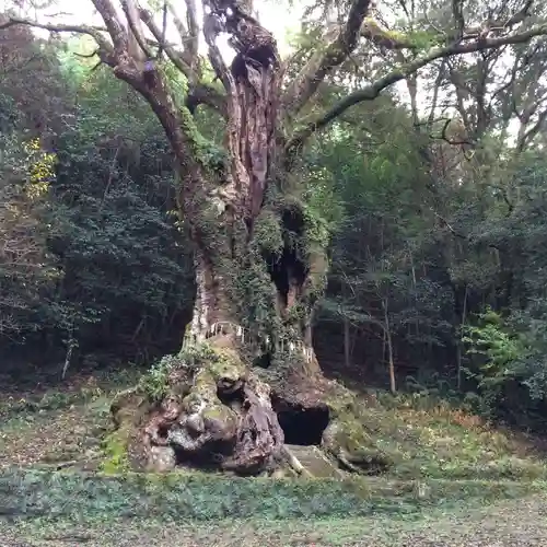 武雄神社(佐賀県)