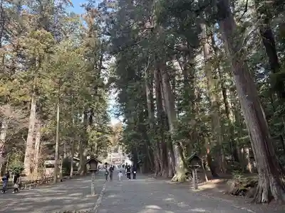 小國神社(静岡県)