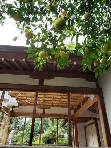 鳩森八幡神社のその他建物