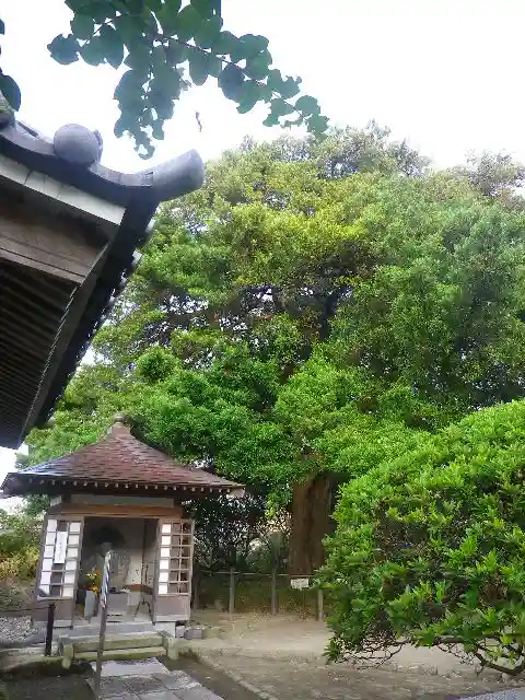 安養院 (田代寺)のその他建物