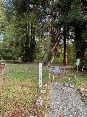 伊佐須美神社(福島県)