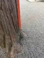 吉田神社(京都府)