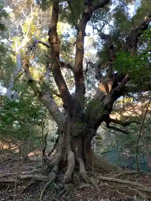 建市神社奥の院(千葉県)