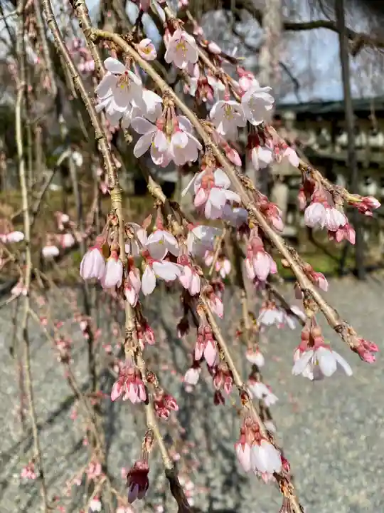 大石神社(京都府)