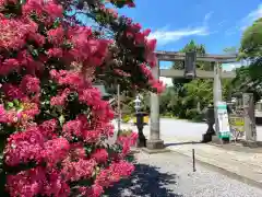 長良神社(群馬県)