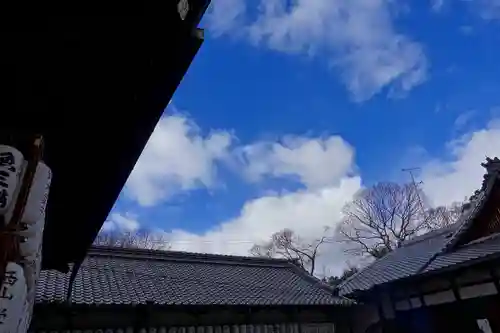 御香宮神社の景色