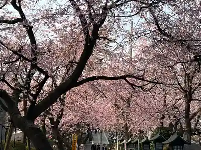 密藏院(埼玉県)