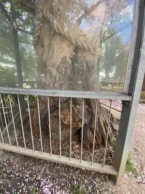 長浜神社(島根県)