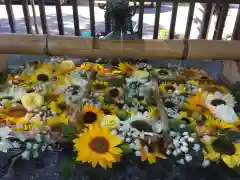 豊平神社の手水