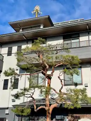 安楽寺の{uncategorized: "未分類", other: "その他", undefined: "問題あり", building: "その他建物", grave: "お墓", sacred_gate: "鳥居", guardian: "狛犬", statue: "像", buddha: "仏像", history: "歴史", nature: "自然", garden: "庭園", animal: "動物", pagoda: "塔", temizu: "手水舎", mountain_gate: "山門・神門", sanctuary: "本殿・本堂", subordinate: "末社・摂社", art: "芸術", scenery: "景色", jizo: "地蔵", ema: "絵馬", goshuin: "御朱印", omikuji: "おみくじ", items: "授与品その他", amulet: "お守り", goshuincho: "御朱印帳", eats: "食事", festival: "お祭り", votive_dance: "神楽", shichigosan: "七五三参", wedding: "結婚式", experience: "体験その他", initially: "初詣", around: "周辺", anti_infection: "感染症対策"}