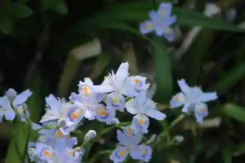 開成山大神宮の庭園