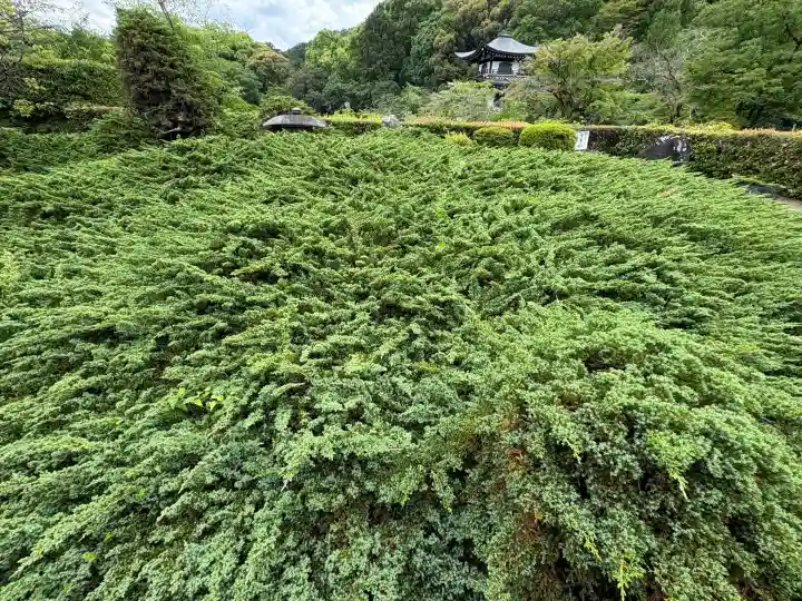 勧修寺(京都府)