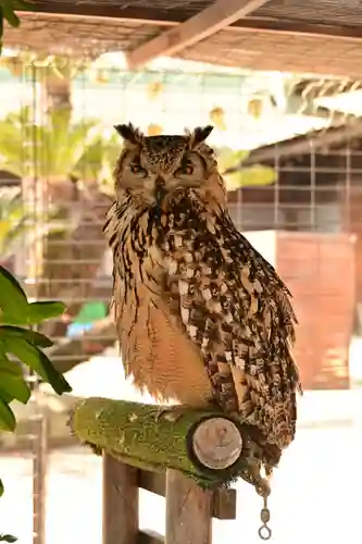 宮地嶽神社(福岡県)