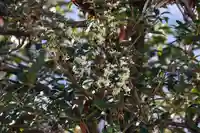 愛宕神社の周辺