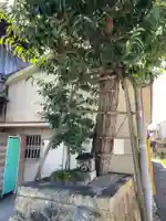 瑞應寺(兵庫県)