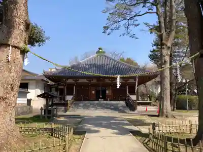 弘法寺(千葉県)